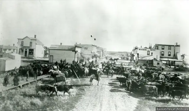 Market day with cattle and horses on the main street